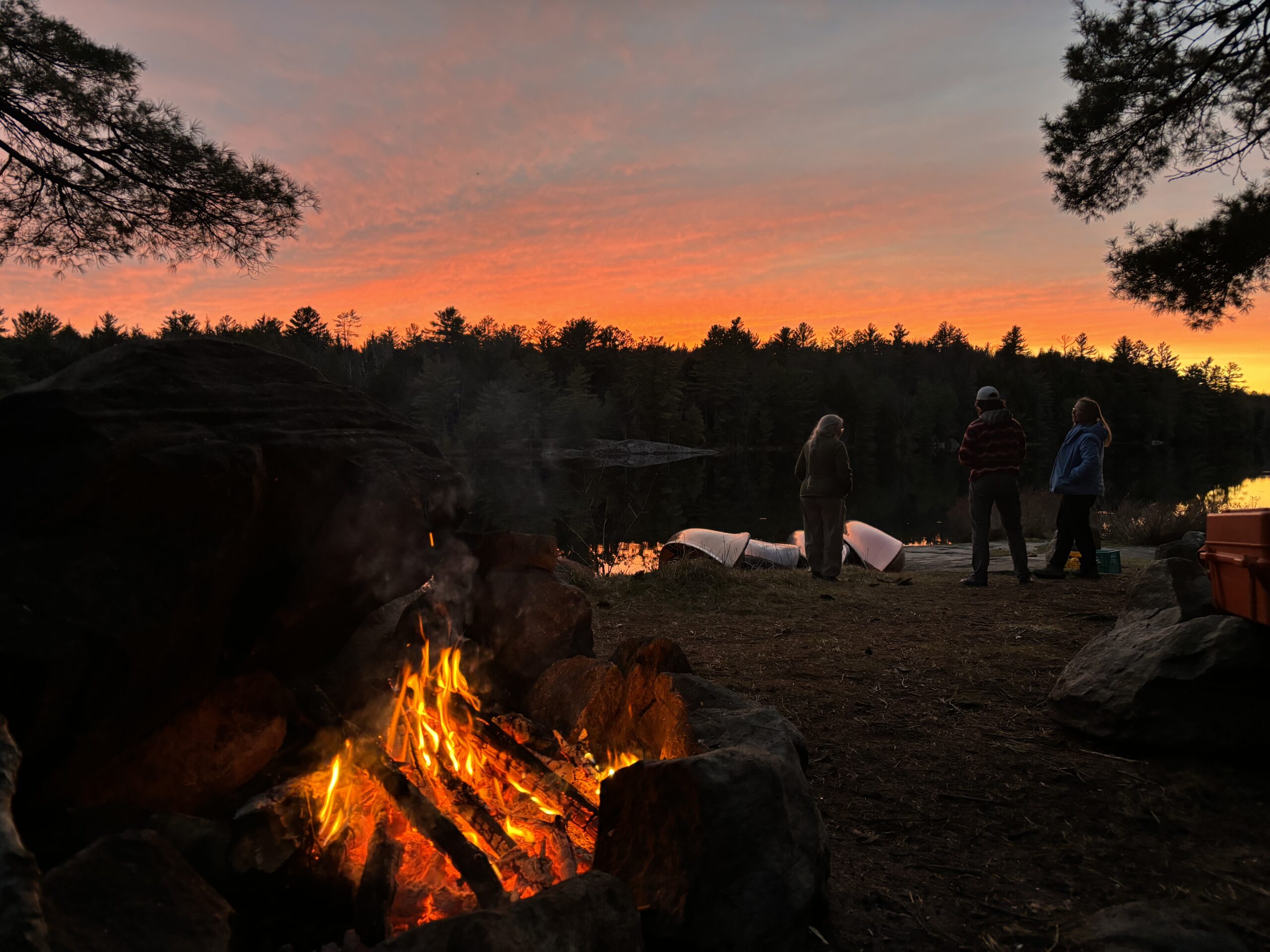 Survival (Basic) - Image 4
